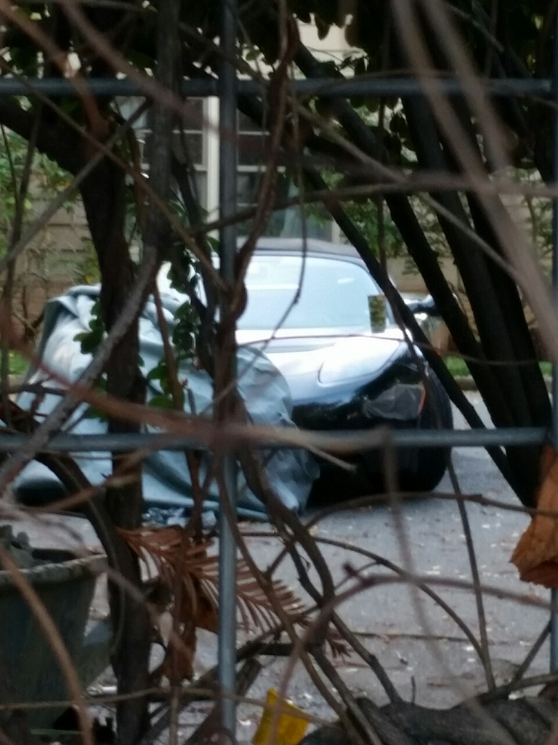 Tesla roadster that has been covered up forever, wasn’t sure what it was, storm revealed it to me. It’s a very expensive house with no garage, just a tree and a big open area. Build a carport!!!!